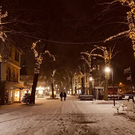 Ruhiges Fuer 4 Nahe Bummelallee By Duke